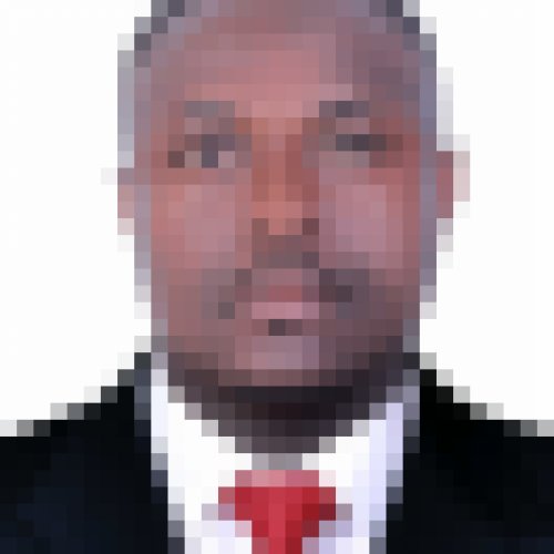 Ervin 