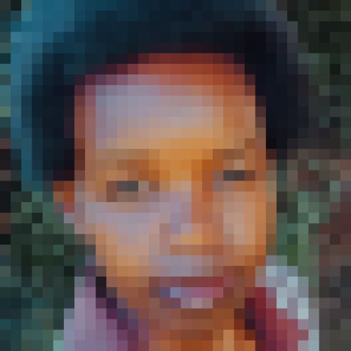 Charlote 