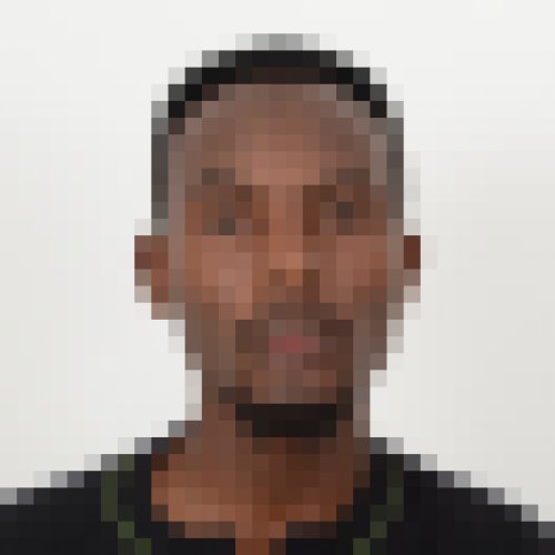 JOHN FESTUS RAINI
