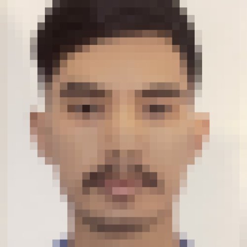 Bandej