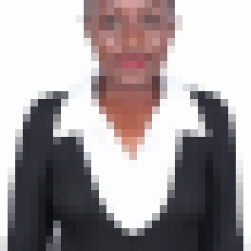 Bridgit
