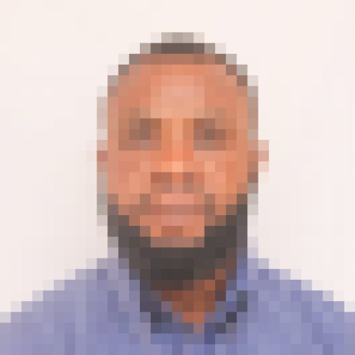 Kingsley