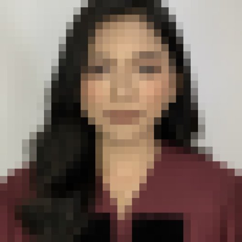 Maria Lourdes