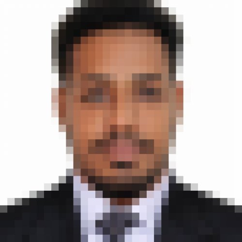 Mohamed Eltayeb Osman