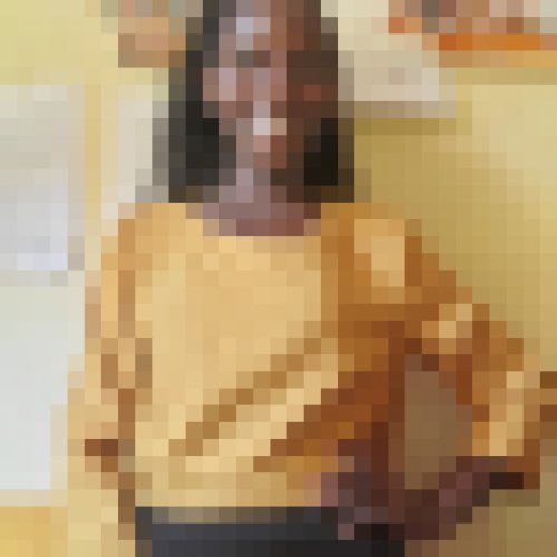 Viola
