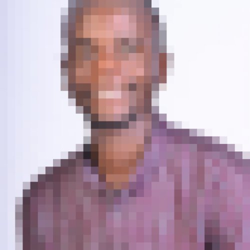 Morebrains
