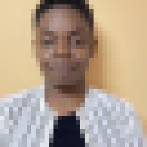 tendai  stella