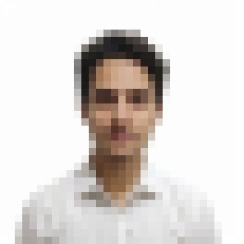 Anas